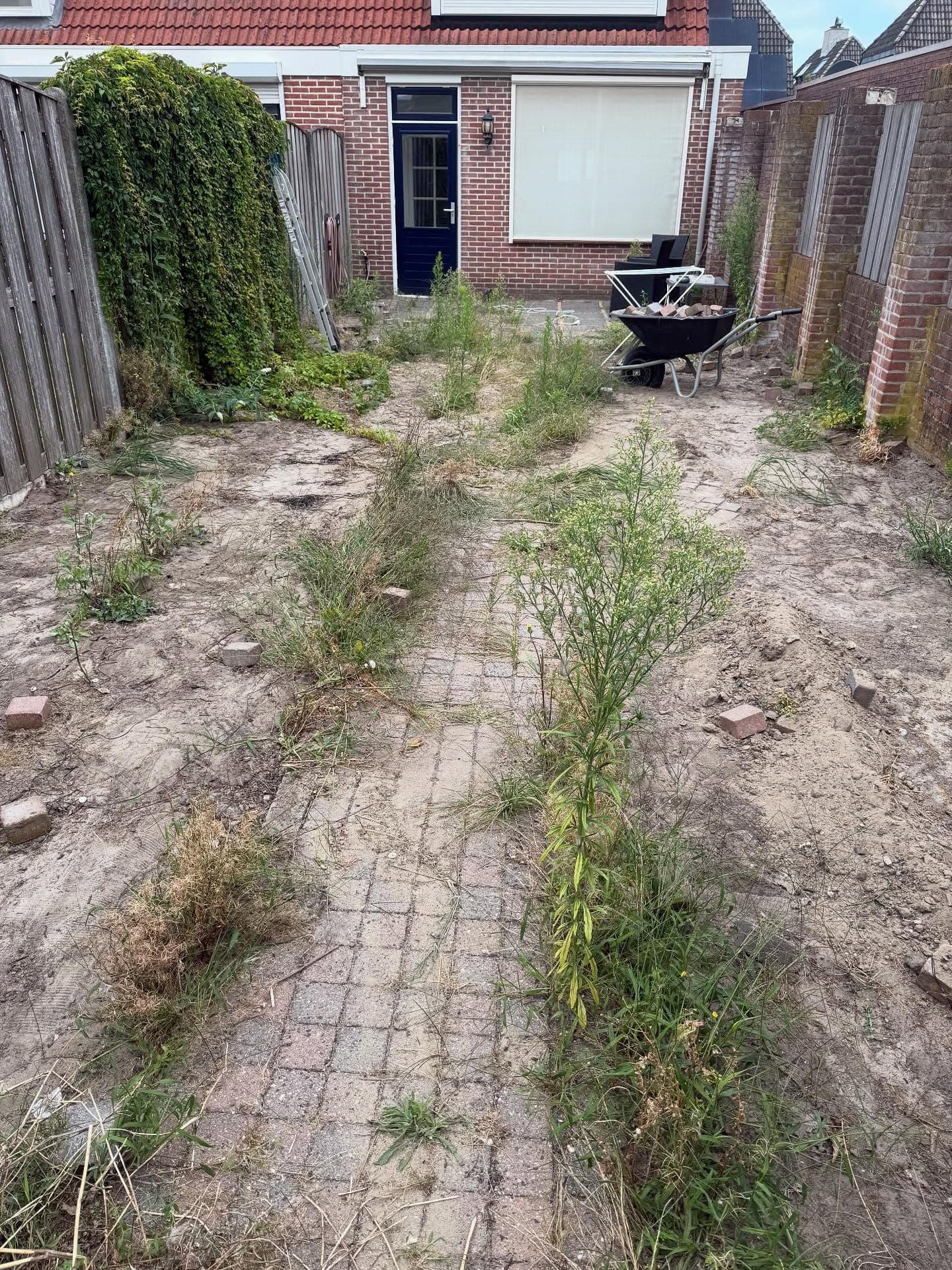 Terras reiniging - Voor